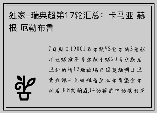 独家-瑞典超第17轮汇总：卡马亚 赫根 厄勒布鲁